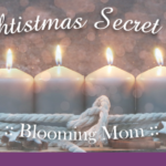 <span class="title">9th Chtistmas Secret Party 〜Blooming Mom〜</span>